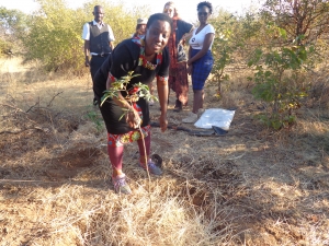 Bettie Luwuge Planting a tree in Victoria Falls