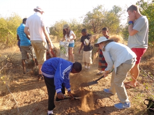 Tree planting in the Vic Falls